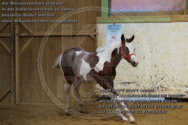 a_K3F03828.JPG